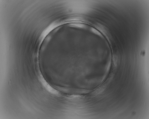 X0000112151482200909041051