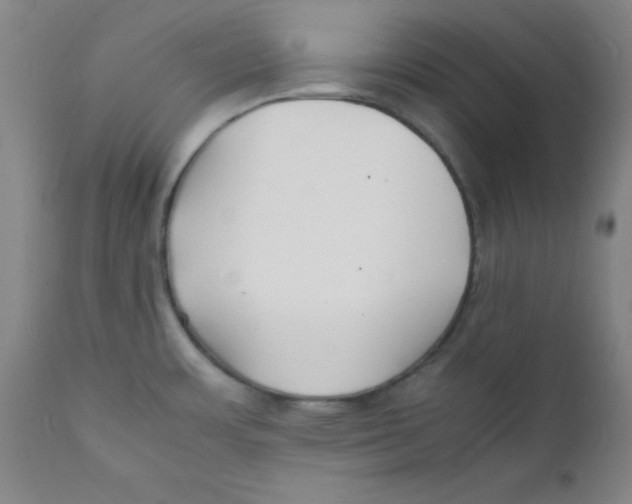 X0000112151483200909041051