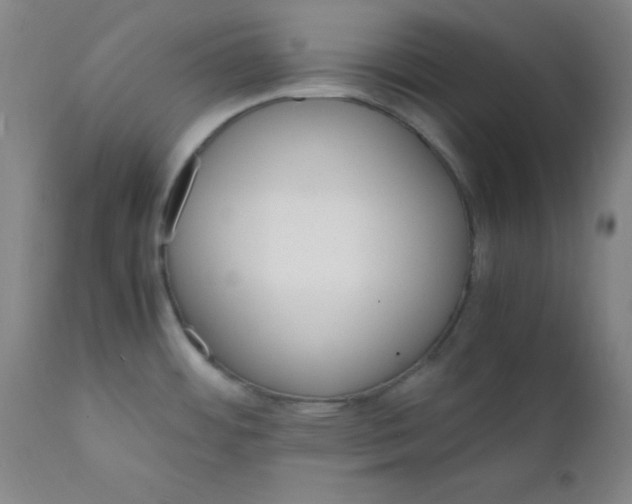 X0000112151484200909041051