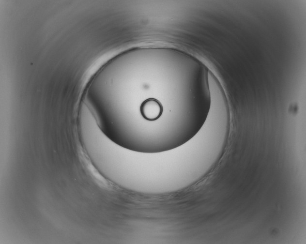 X0000112151485200909041051