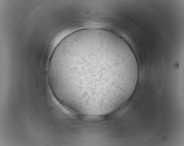 X0000112151487200909041051