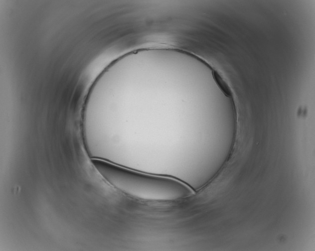 X0000112151488200909041051