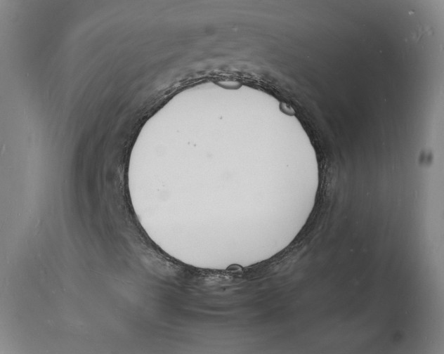 X0000112151489200909041050