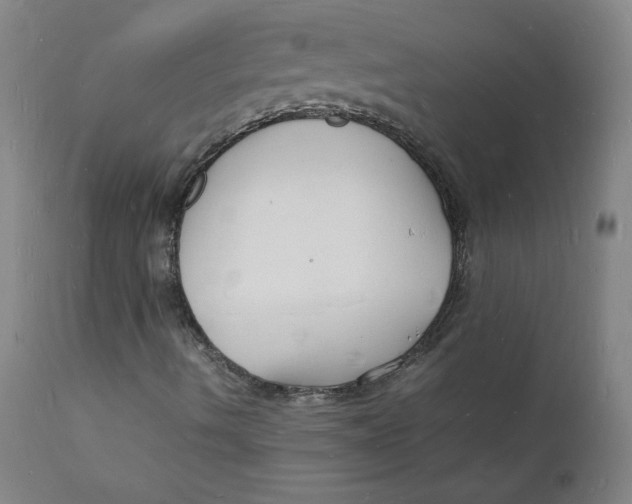 X0000112151490200909041050