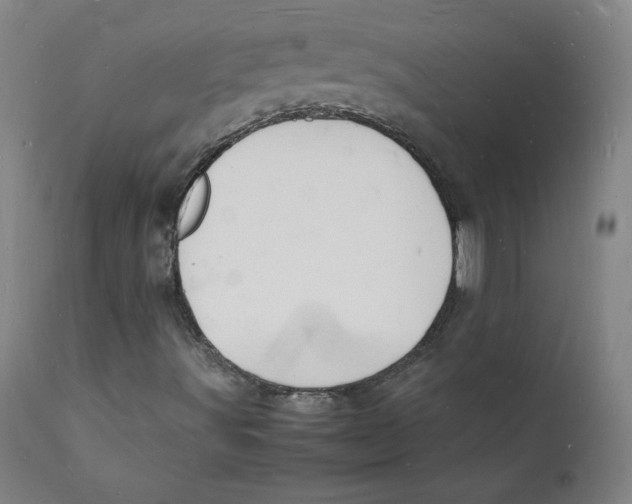 X0000112151491200909041051