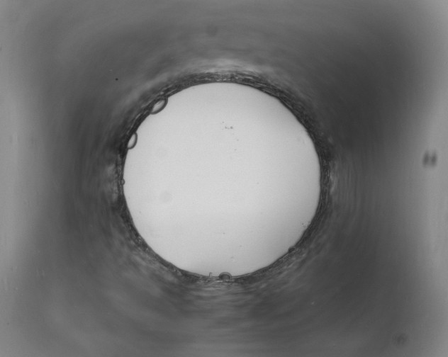 X0000112151493200909041051