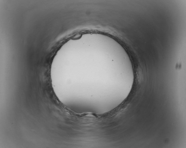 X0000112151494200909041051