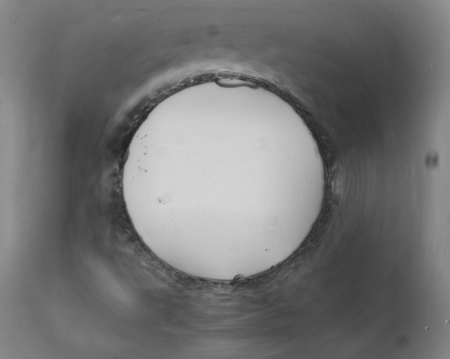 X0000112151495200909041051