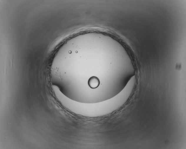 X0000112151496200909041051