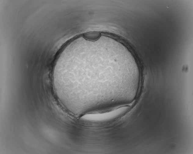 X0000112151497200909041051