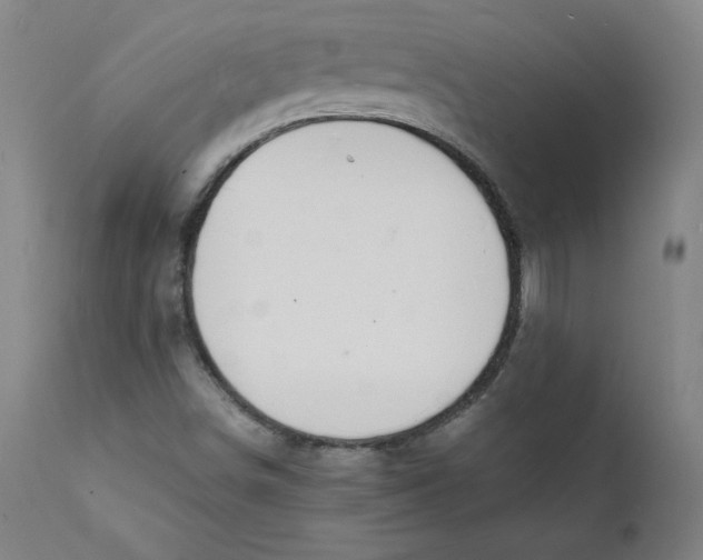 X0000112151498200909041051