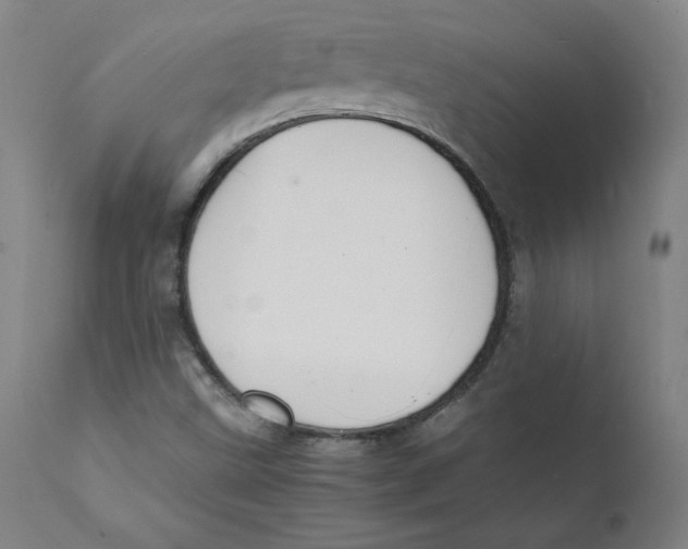 X0000112151499200909041051