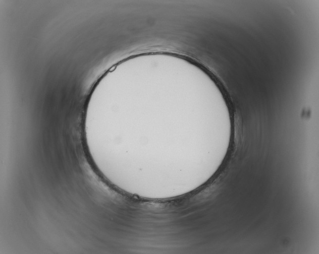 X0000112151500200909041051