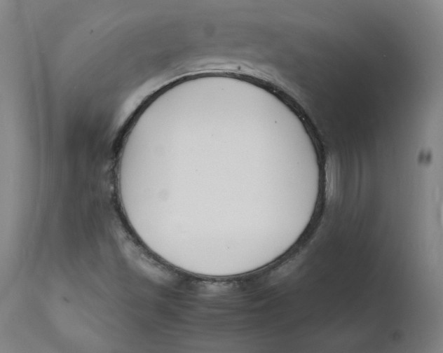 X0000112151501200909041051