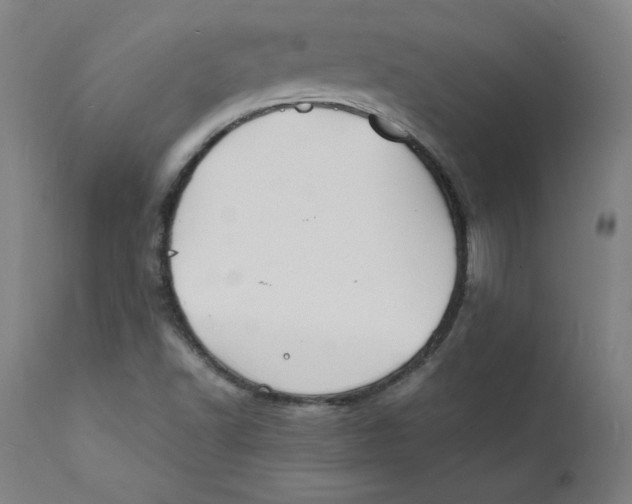 X0000112151502200909041051