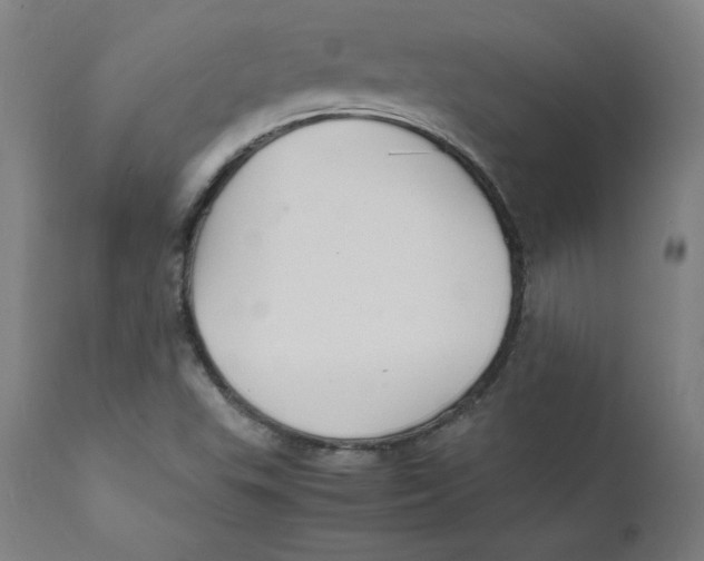 X0000112151503200909041051