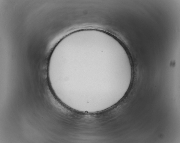 X0000112151504200909041051