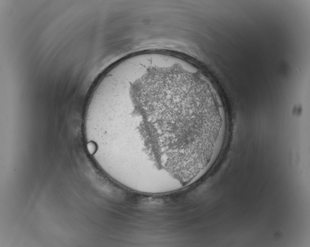 X0000112151505200909041051