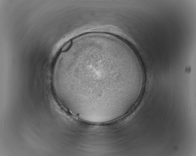 X0000112151506200909041051