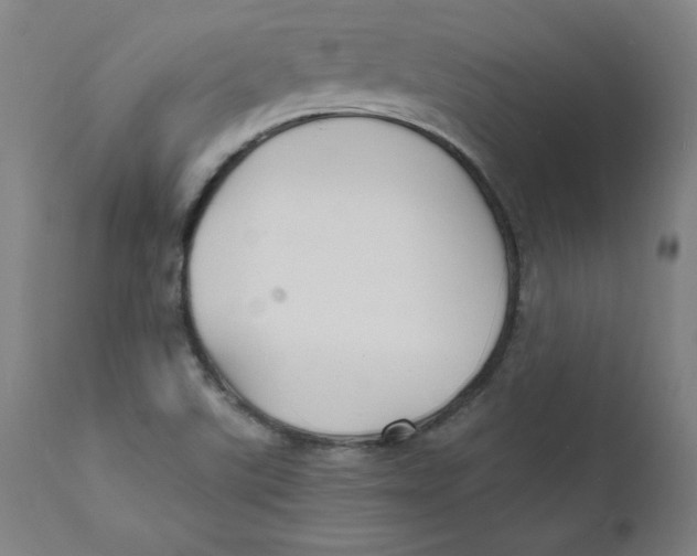 X0000112151507200909041051