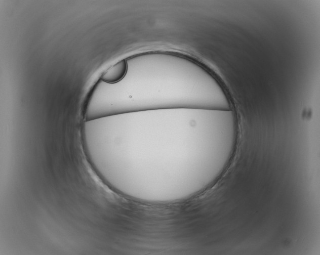 X0000112151508200909041051