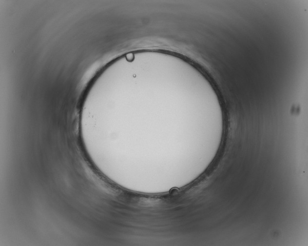 X0000112151509200909041051