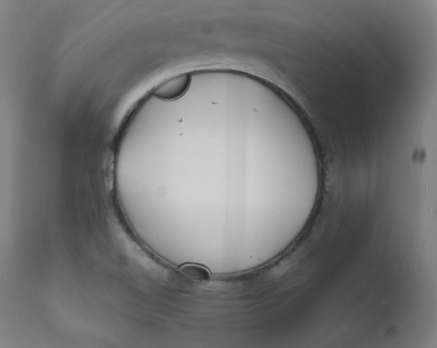 X0000112151510200909041051