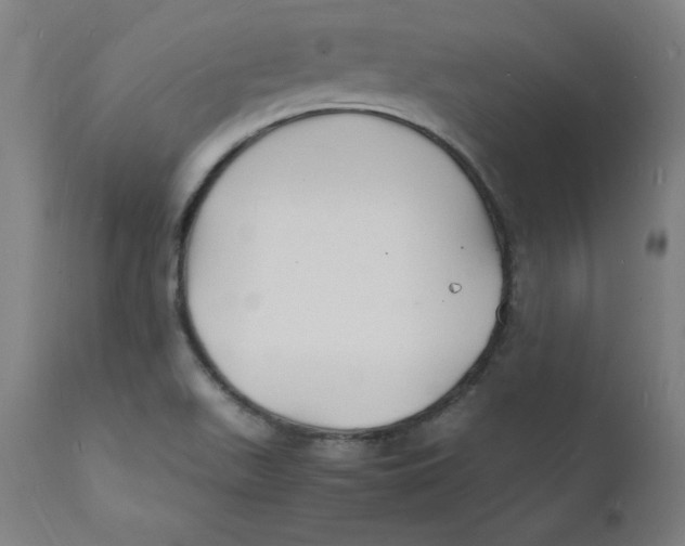 X0000112151511200909041051