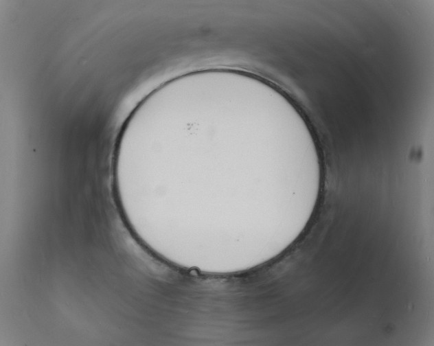 X0000112151512200909041051