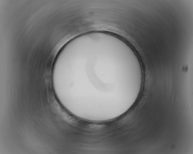 X0000112151513200909041051