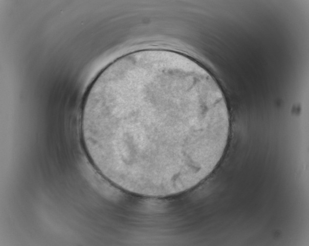 X0000112151514200909041051