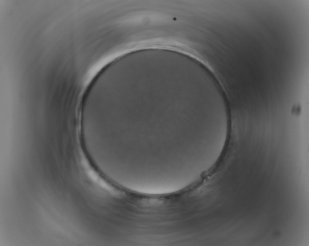 X0000112151515200909041051