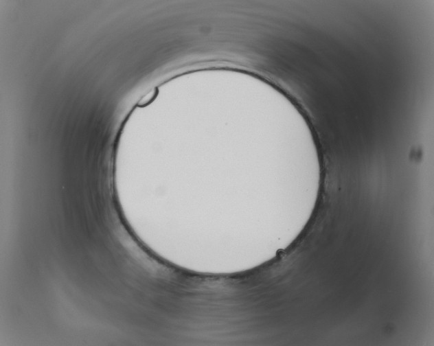 X0000112151516200909041051