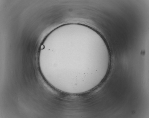 X0000112151517200909041051