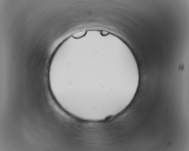 X0000112151518200909041051