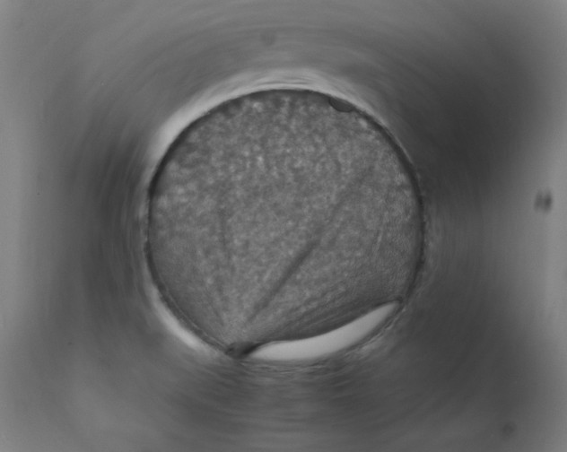 X0000112151519200909041051