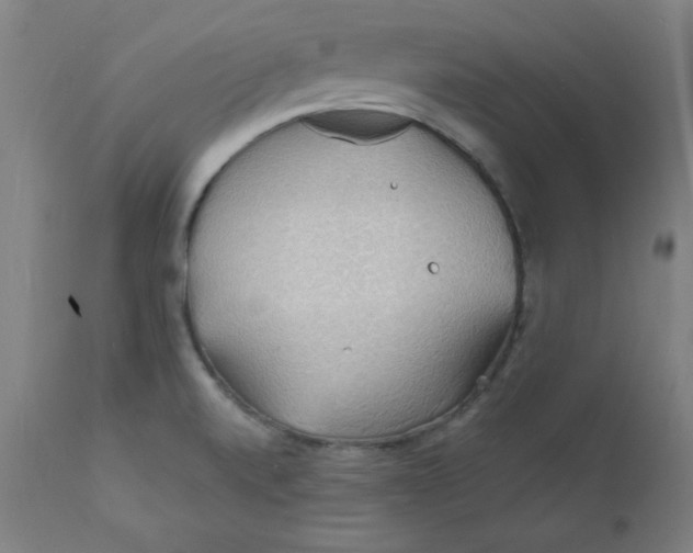 X0000112151520200909041051