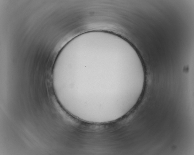 X0000112151521200909041051