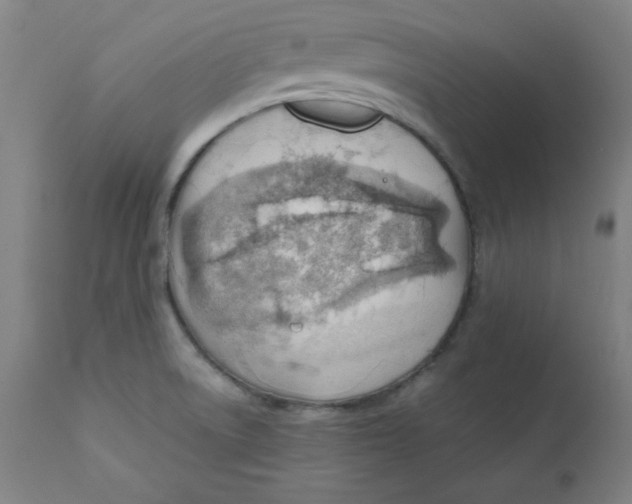 X0000112151522200909041051