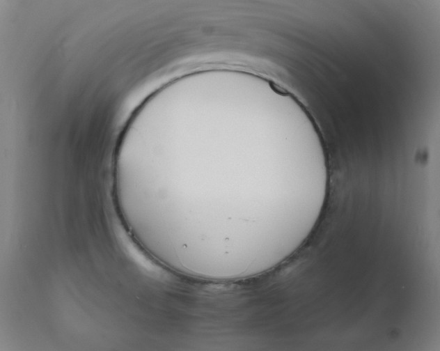 X0000112151523200909041051