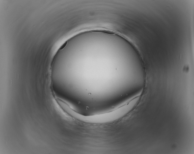 X0000112151524200909041051