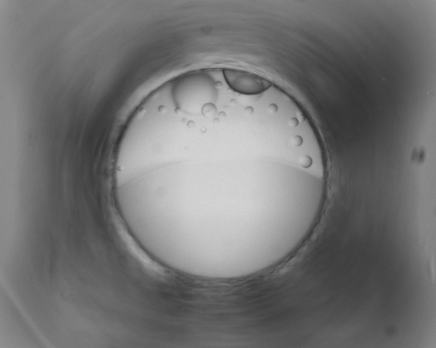 X0000112151525200909041051