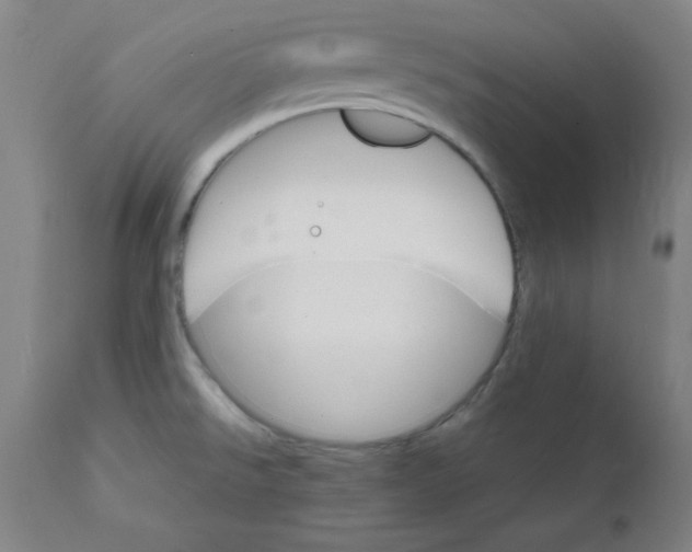 X0000112151526200909041051