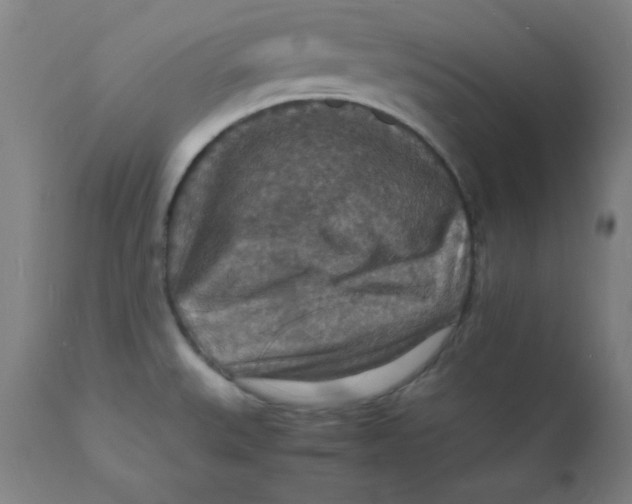 X0000112151527200909041051