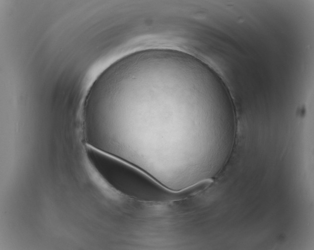 X0000112151528200909041051