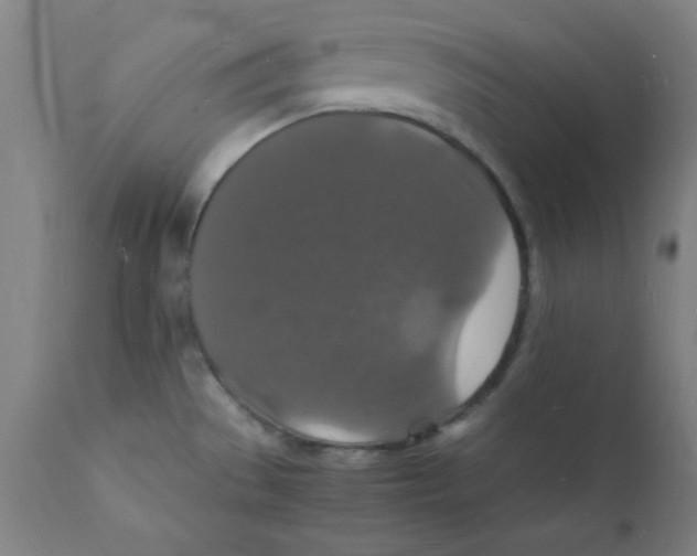 X0000112151529200909041051