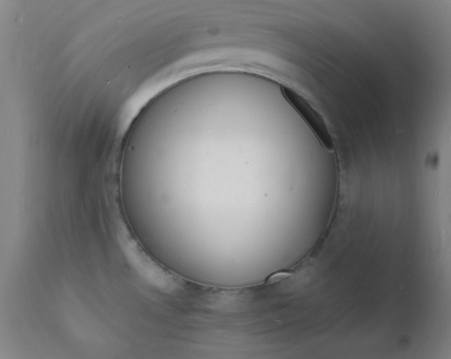 X0000112151530200909041051