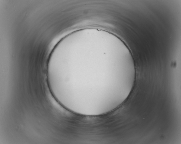 X0000112151531200909041051