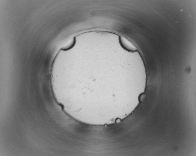 X0000112151532200909041051