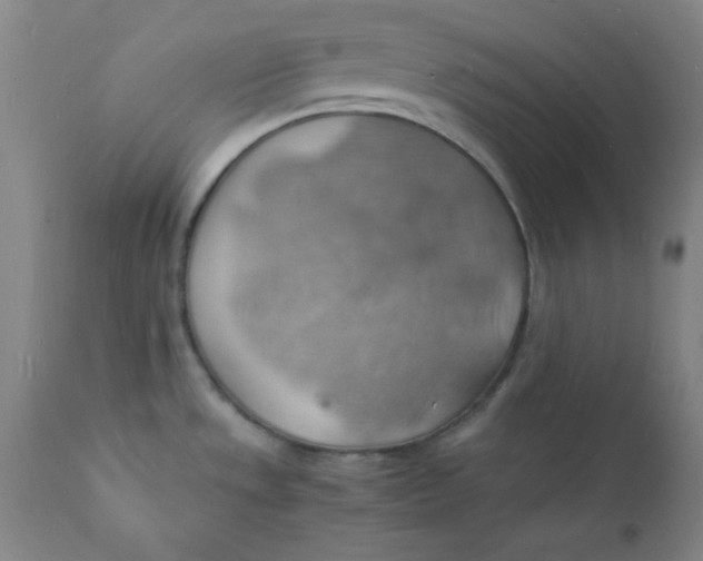 X0000112151533200909041051